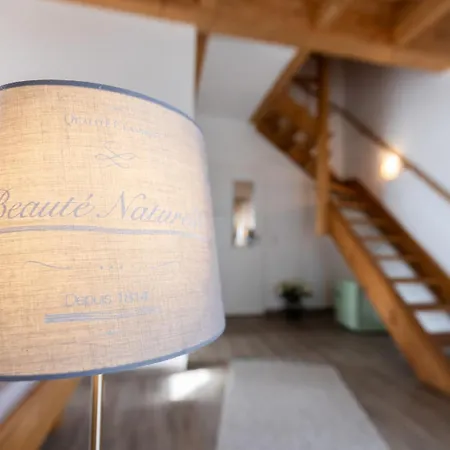 Apartahotel Landgut Seebühne Steigerwald - Vestenbergsgreuth
