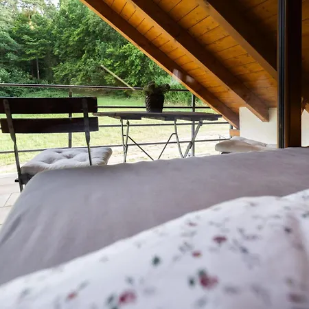 Landgut Seebühne Steigerwald - Apartahotel