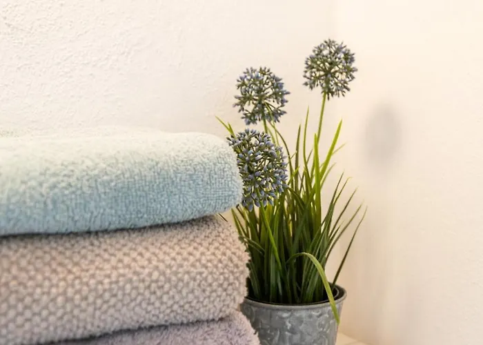 Landgut Seebühne Steigerwald - Apartahotel 3*