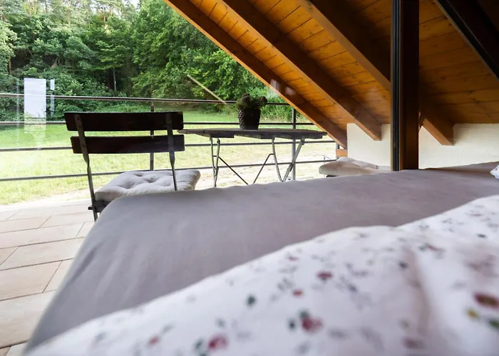 Landgut Seebühne Steigerwald - Apartahotel